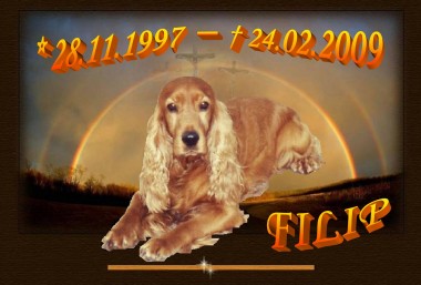 In memory Filip